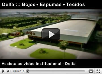 Video institucional Delfa